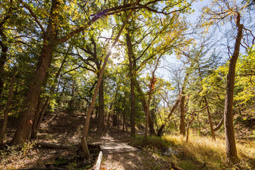Sunny view of the landscape inside the Boiling Springs State Park