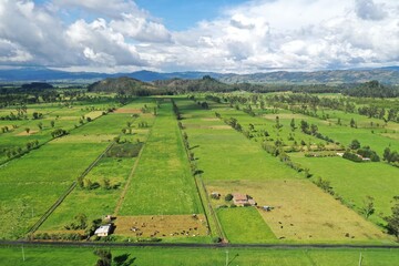 Fototapeta premium default