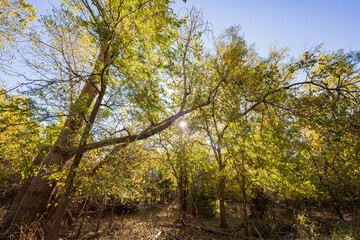 Autumn landscape of the Jet Recreation Nature Trail