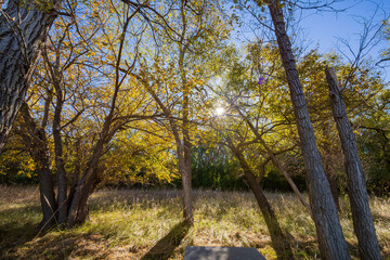Fototapeta premium Autumn landscape of the Jet Recreation Nature Trail