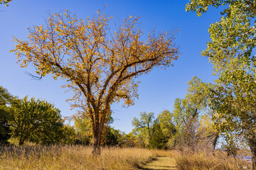 Autumn landscape of the Jet Recreation Nature Trail