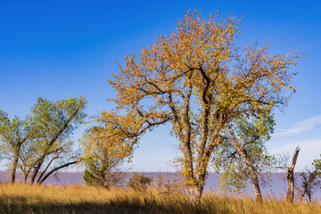 Autumn landscape of the Jet Recreation Nature Trail