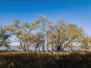 Autumn landscape of the Jet Recreation Nature Trail