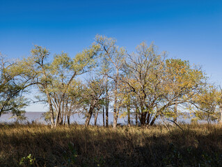 Obraz na płótnie Canvas Autumn landscape of the Jet Recreation Nature Trail