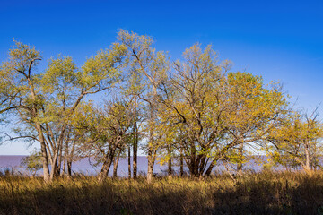 Fototapeta premium Autumn landscape of the Jet Recreation Nature Trail