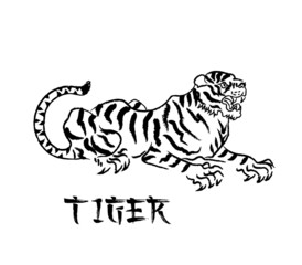 Tiger animal on white background. Brush stroke effect. Use it for card, poster or package print design. Vector illustration.