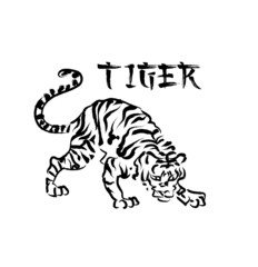 Fototapeta na wymiar Tiger animal on white background. Brush stroke effect. Use it for card, poster or package print design. Vector illustration.