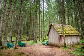 Fototapety na wymiar - Fototapeta24.pl