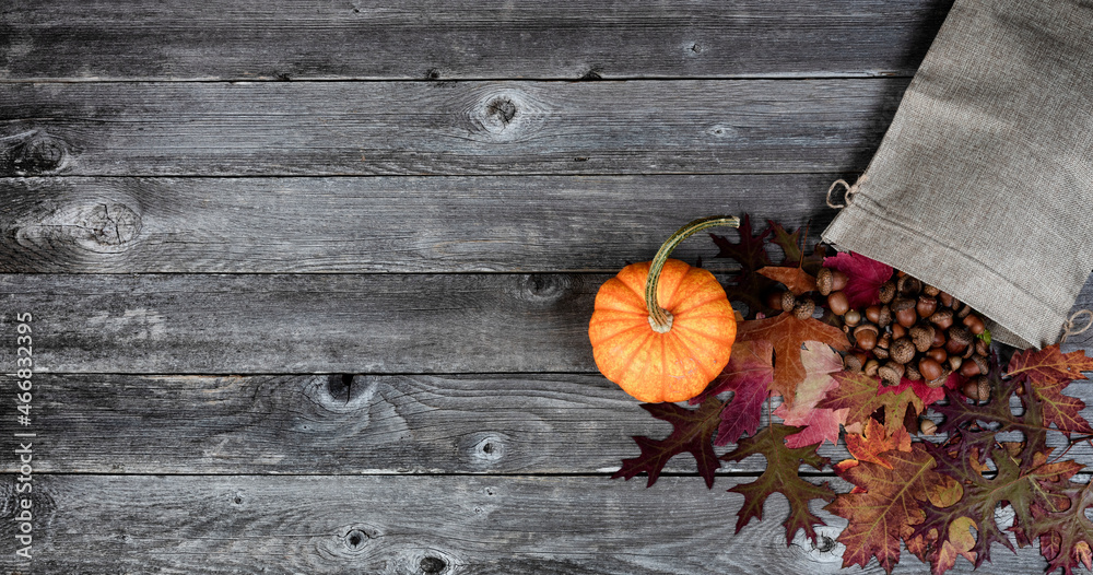 Poster burlap bag containing dried leaves, acorns and pumpkin on rustic wooden planks for an autumn collect