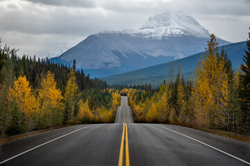 Fall colors along the Ice Fields Parkway in Banff National Park, Jasper National Park - obrazy, fototapety, plakaty
