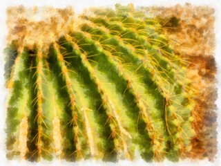 cactus watercolor style illustration impressionist painting.
