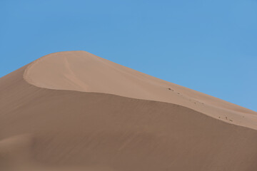 Fototapeta na wymiar Huge sand dune on a summer day