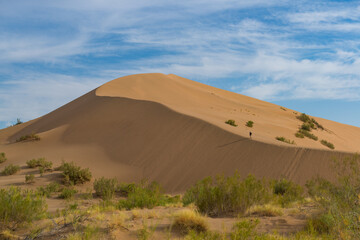 Fototapeta na wymiar Huge sand dune on a summer day