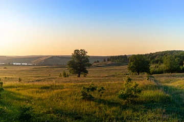 Foto op Plexiglas Mistige ochtendstond Wonderful evening landscape in summer.