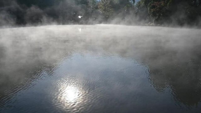 大分県　湯布院　金鱗湖　朝霧