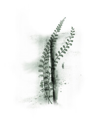 Fern Design with Floral elements and Dark Green Watercolor