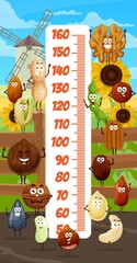 Kids height chart, cartoon nuts and beans on farm, vector growth meter. Kids tall measure chart or baby size ruler with nuts characters, walnut, peanut and smiling cashew with pistachio on sunflower