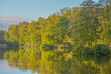 Fototapeta na wymiar Mirror image of the trees in the Bear Creek Lake State Park in Cumberland, Virginia