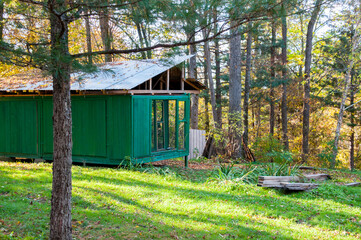 A green house among the fir trees in the forest