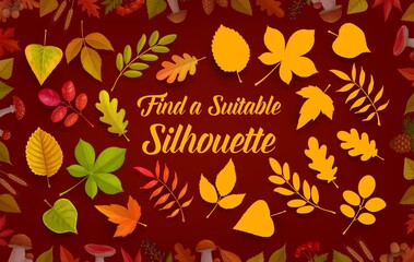 Fototapeta premium Kids game worksheet find suitable silhouette of autumn leaves, leaf fall. Vector shadow match riddle with oak, birch, rowan and maple or chestnut tree leaves shades. Children logic mind development