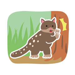 びっくりしているオオフクロネコのイラスト　オーストラリアの動物