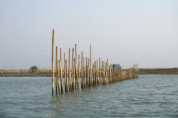 Posts for fixing fishing nets in Chilika lake. Chilika lake is the largest coastal lagoon in India and the largest brackish water lagoon in the world.