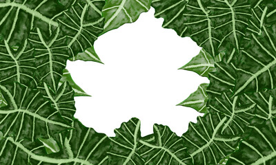 gree leaves with white empty space  background