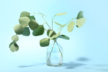 Vase with eucalyptus branches on color background