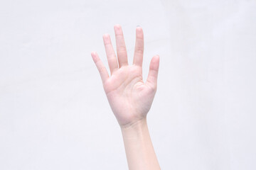 Young woman shows beautiful hand acted five fingers turned up on the isolated white background.