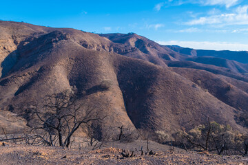 Woolsey Fire, Malibu California Post fire Burnt Mountains
