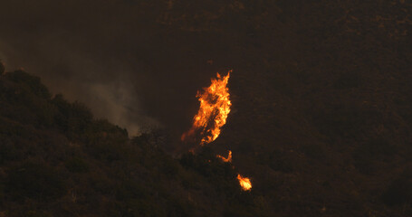 Woolsey Fire, Malibu California fire Burnt Mountains
