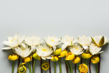 Composition with different blooming lotus flowers on grey background
