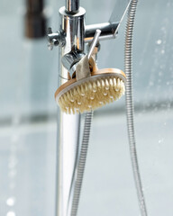 Obraz premium Wet and dry massage brush.