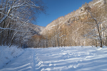 Snowy road in a mountain forest.
