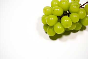 シャインマスカット