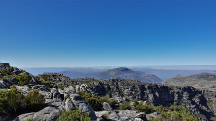 Fototapeta na wymiar At the top of Table Mountain in Cape Town there is scant vegetation, gray boulders. Clear blue sky. A sunny summer day. South Africa
