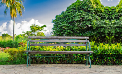 Obraz premium A lonely bench in a park, wooden bench in a park with blue sky, wooden bench in a garden