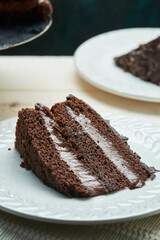 Chocolate cake on ceramic plate