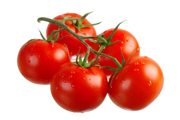 A bunch of five red tomatoes on a branch. Isolated on white.