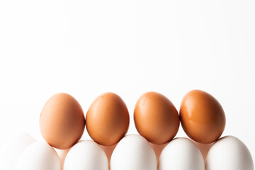 chicken eggs in a dozen storage tray