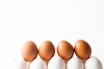 chicken eggs in a dozen storage tray