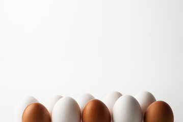 chicken eggs in a dozen storage tray