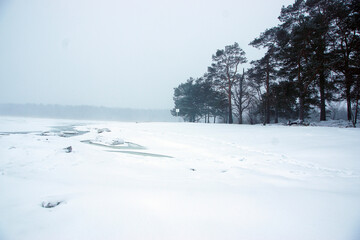 Coastal winter landscape with clearings on the water and trees on the shore