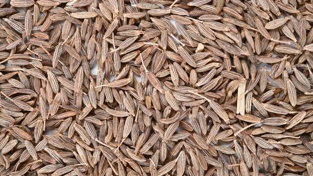 top view herb ZiRan or Cuminum Cyminum or Cumin rotating