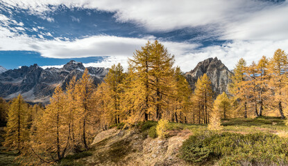 Naklejka premium Autumn in the Alps