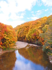 北海道の絶景 秋の定山渓 玉川橋からの紅葉風景