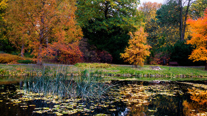 A walk in the autumn season in the Szczytnicki Park in Wrocław