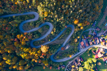 Country road at autumn