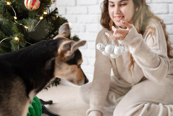 Obraz premium young attractive woman decorating the Christmas tree and playing with dogs