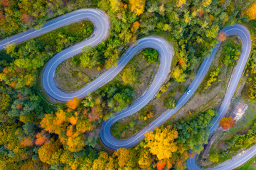 Country road at autumn